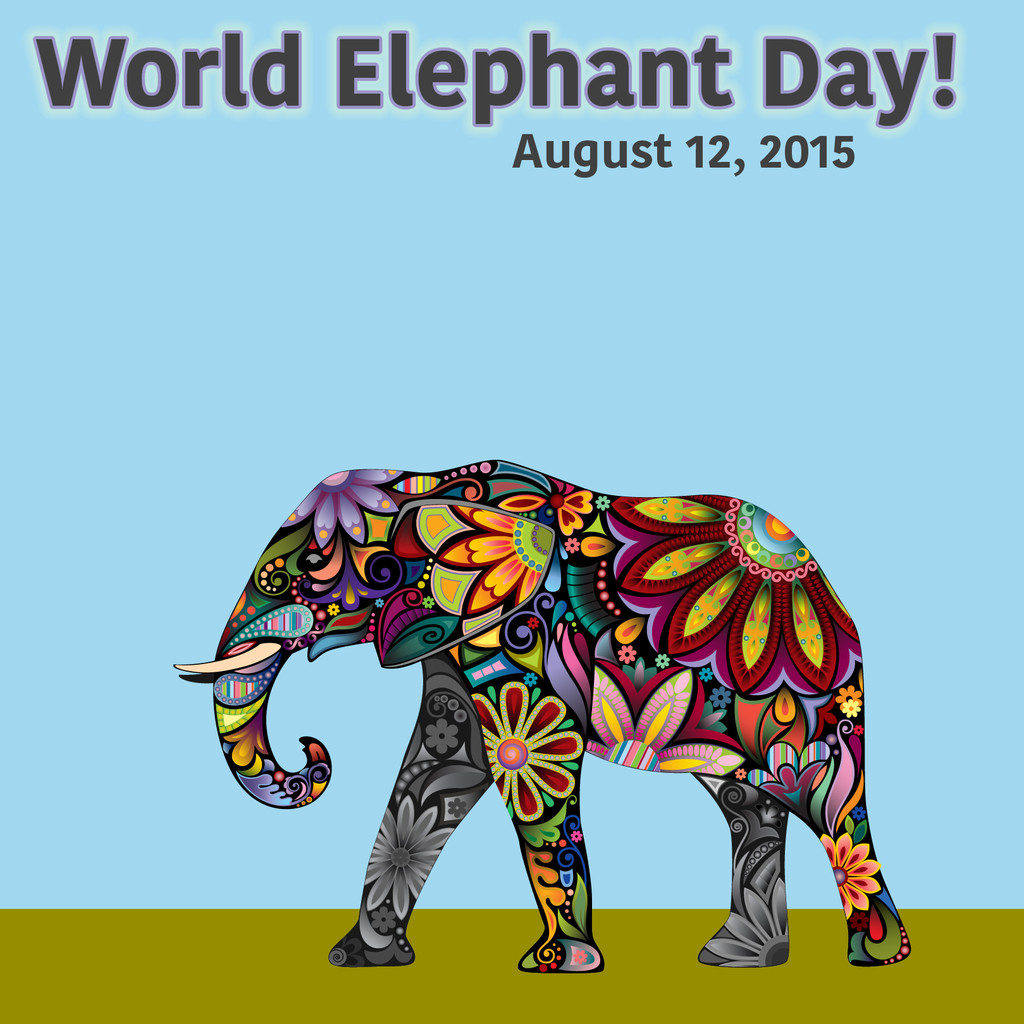 World Elephant Day Party Fun Box