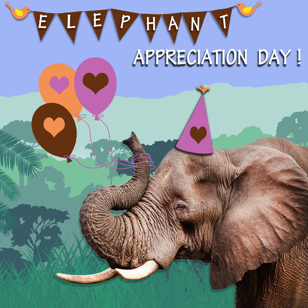 День благодарности слонам (Elephant Appreciation Day). Жвачка Happy Elephant. Счастливые слоны коллекции игры Голливуд.