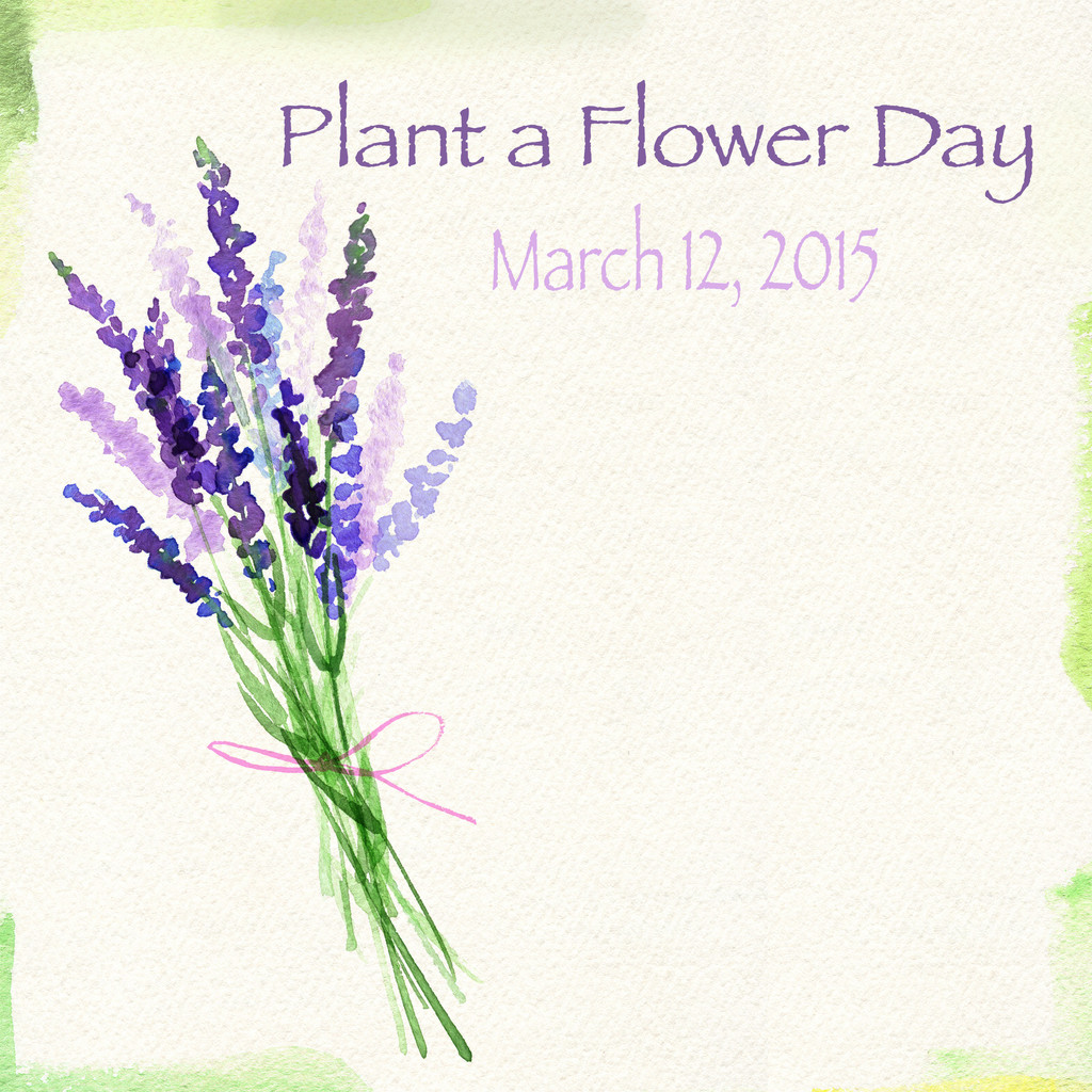 It’s Plant a Flower Day!