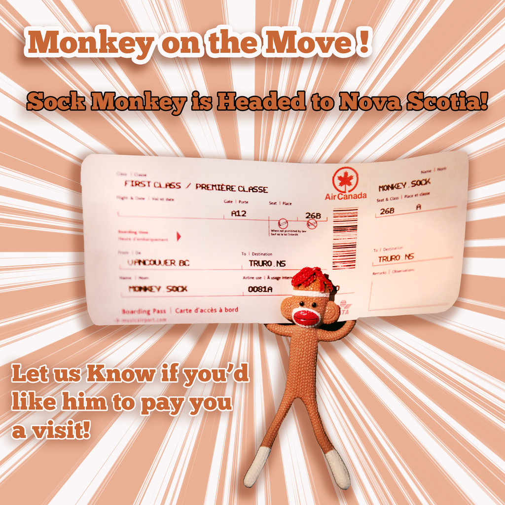 Monkey on the Move!
