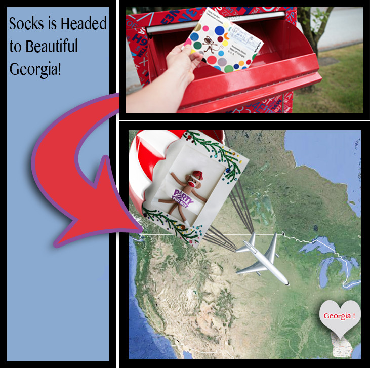 Socks is Headed to Georgia!