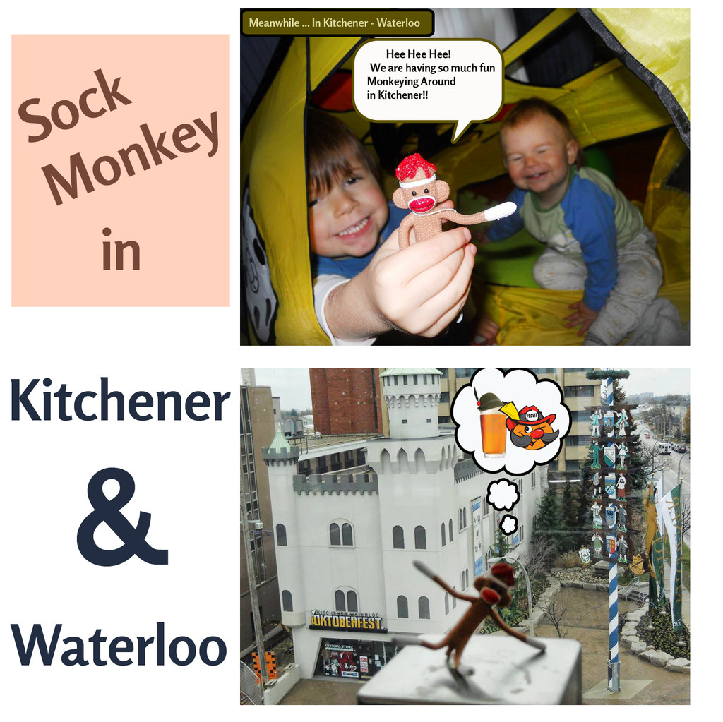 Socks in Kitchener!